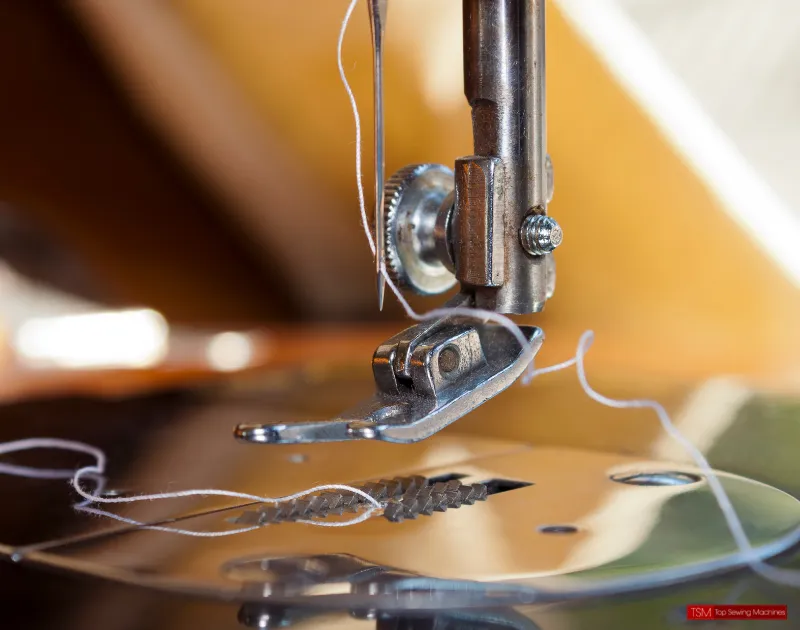 Why Is My Sewing Machine Not Moving The Fabric? Find Out Here..